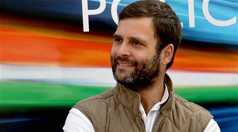Data also shows Rahul participated in just two debates during the entire term of this Lok Sabha. (PTI)