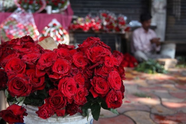hindu mahasabha, valentines day