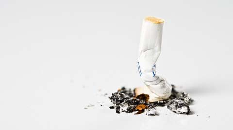 Only eight per cent (18 schools) strictly follow no-smoking or chewing of tobacco within premises of institution.
