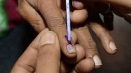 Maharashtra Polls, Civic Polls, MNS, Maharashtra congress, Shiv Sena news, BJP news, Raj Thackeray-led Maharashtra Navnirman Sena, Latest news , India news