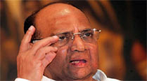 sharad pawar, maharashtra, maharashtra vidhan sabha, maharashtra government, maharashtra house, maharashtra assembly,vidhan sabha maharashtra, maharashtra politics, maharashtra news, india news, indian express