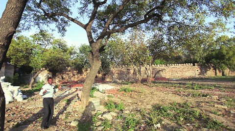 The plot near Humayun’s Tomb complex. (Photo: Oinam Anand)