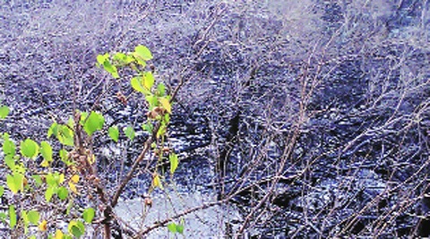 Mahul oil leakage occurred in October last year.