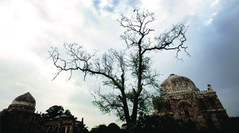 ASI said feedback from visitors has been positive. (Source: Express photo by Amit Mehra )
