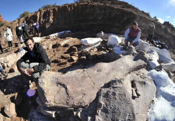biggest dinosaur discovered