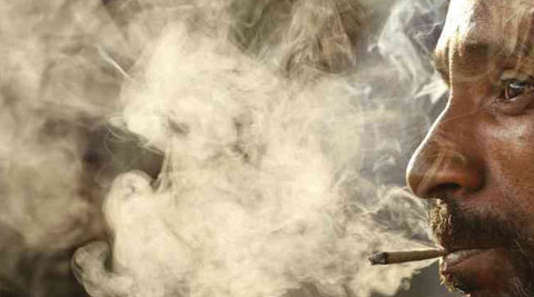 Cigarettes are linked with cancers but also with atherosclerosis, pulmonary fibrosis, and other diseases associated with age