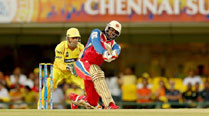 IPL 7: Royal challenge is still alive