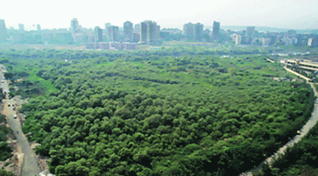 UNDP committee approves Rs 2.73-lakh proposal for Sindhudurg.