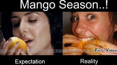 It's mango season!!