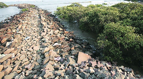 The refilling work done near mangroves forest in Colaba. (Source: Express photo by Pradip Das)
