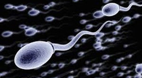 Sperm Com