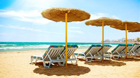 summer-holiday-480