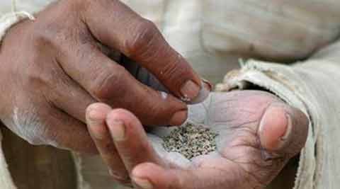 The total economic cost of tobacco-related diseases in India was an estimated Rs 30,833 crores in 2002-03. (Source: Reuters photo)