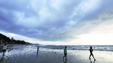 The initiative will be in addition to a current study on the population of dolphins in the Arabian sea. ( Source: Express archive )