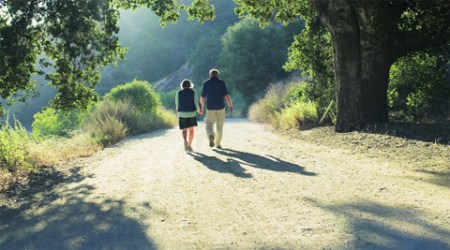 Most of us have heard by now that exercise, including walking, generally improves thinking skills, both immediately and in the longer term. 