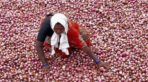 In order to speed up the process of land identification for these mandis, the District Magistrates (DMs) of the five districts along the expressway were called to Lucknow on Monday for a meeting.