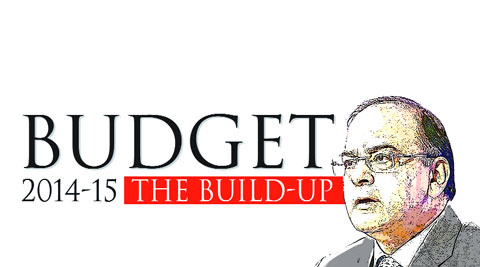 According to interim Budget documents, gross tax revenue is estimated to increase by 19 per cent to 10.7 per cent of the GDP in FY15.