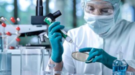 delhi master plan, delhi govt, MCD, municipal corporations, civic bodies, medical facilities shut, doctor's clinic, DPCC, delhi polltuion, pollution, delhi news, city news, local news, Indian Express