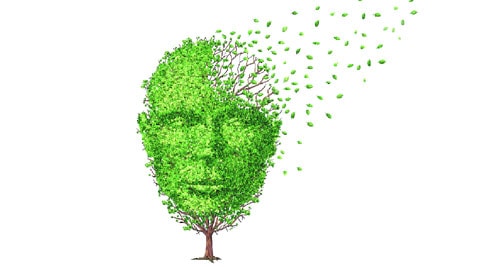 The test was developed over five years by a team led by Dr. Douglas W. Scharre, a neurologist at the Ohio State University Wexner Medical Center. 