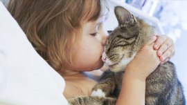 Pets and Children, Pets of Children, Pets and families, Pets and lifespan, death of pets, pet nad children news, Study on children, study on pets and children, children's study, latest news, international study, latest news