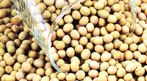 seeds discontent farmers replace disregarding experts majority mp especially advice farm country them use pinch certified felt those source market