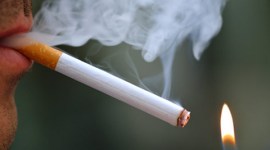 tobacco warning, tobacco pictorial warning, tobacco packet warnings, tobacco cancer warning, anti-tobacco law, Rajasthan High Court, Health Ministry, india news, latest news, top stories, indian express