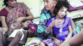 disease-main Japanese Encephalitis in Odisha, Odsha news, Japanese Encephalitis, Odisha Japanese Encephalitis news, India news, Latest news, national news