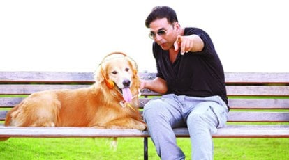 Sajid-Farhad are petrified of dogs; but canine artist Junior put them at  ease on the sets of Entertainment