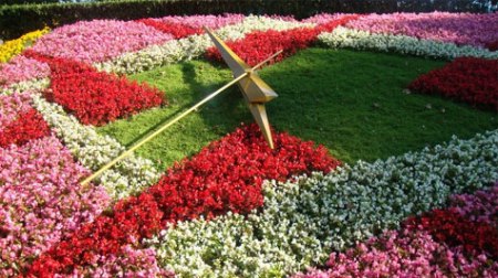 flower-clock-story-1