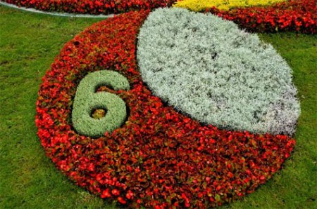 Creating ornate, natural architecture. (Source: Swasti Pachauri)