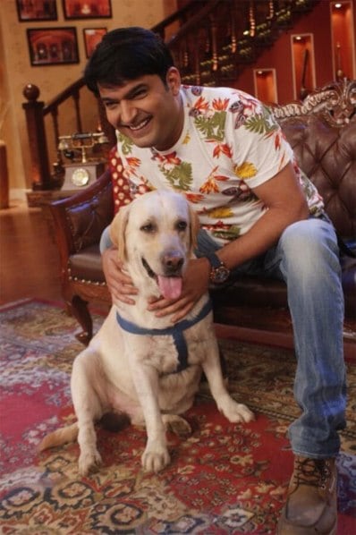 kapilsharma-dog