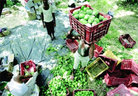 The Cut Veggies Stop - Produce Market in Thane West
