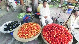 agriculture, agriculture market, market reform, pune news