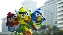 On the Angry birds trail | Screen News - The Indian Express