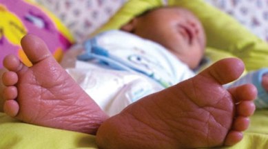 Badali village, Japanese Encephalitis, Badali village Encephalitis, Badali village Encephalitis death, Encephalitis death, Chandigarh latest news