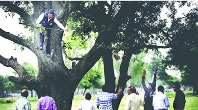 Badaun story gets curiouser: Forensics lab finds no 'proof' of sexual  assault | The Indian Express