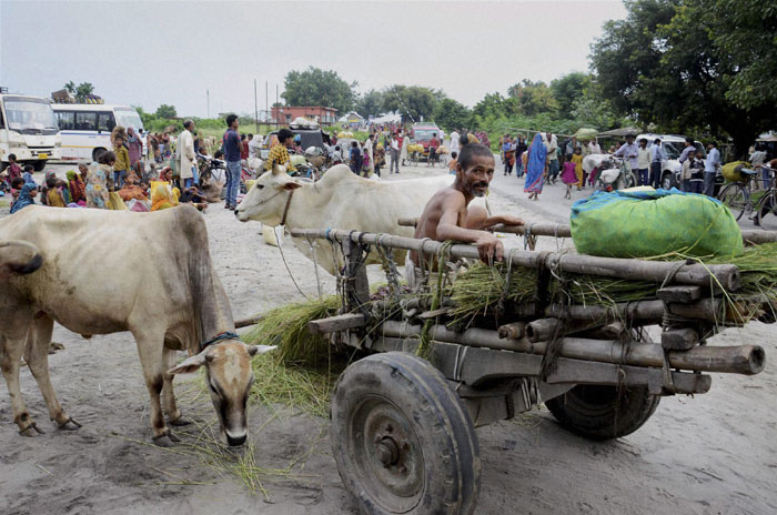 Kosi floods: Villagers move out in search of shelter | The Indian ...