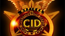 cid-show no alt set