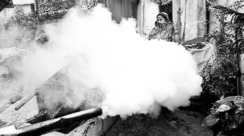 Even the civic centre has been issued a challan for breeding of mosquitoes. (Source: Express archive)