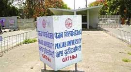 PAU, PAU delegation, Pakistan agriculture university, ludhiana news, city news, local news, ludhiana newsline