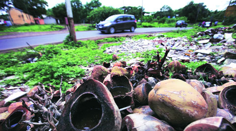 Stagnant water in discarded coconut shells can become a breeding ground for dengue-causing mosquitoes. (Source: Express photo by Arul Horizon)