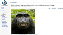 Monkeys take ‘selfies,’ sparking copyright dispute | Technology News ...