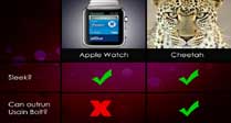 EXPRESS LOL: Apple Watch vs. Everyday Things