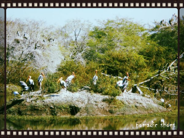 bharatpur