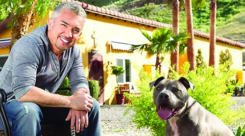Cesar Milan in a still from the show