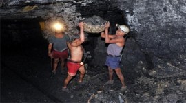 Delhi High Court, cancellation of coal e-auction, coal auction, Coal India Limited, JPL, business news, Indian express