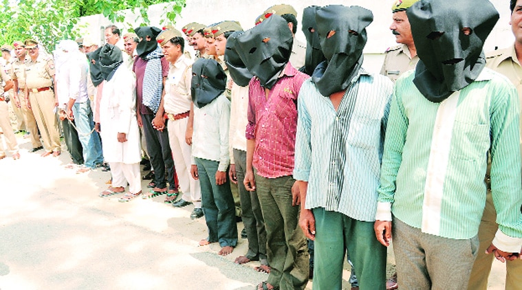 Some of the criminals rounded up.(Source: Express photo)