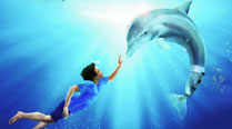 Dolphin Tale 2