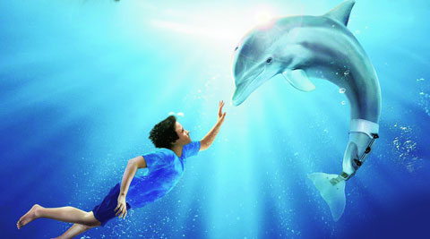 Dolphin Tale 2