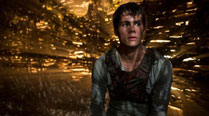 The Maze Runner